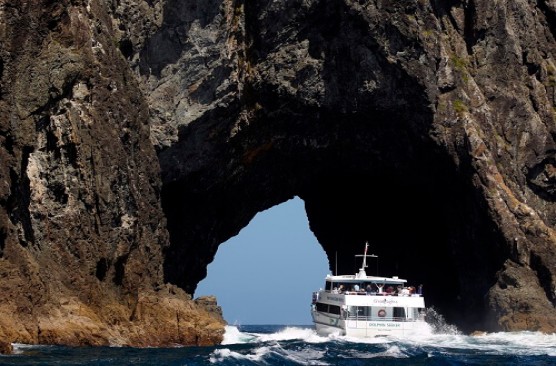 Bay of Islands Day Tour with Hole in the Rock Dolphin Cruise - Auckland Return